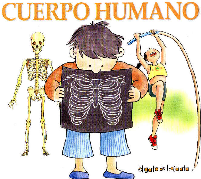 cuerpo humano