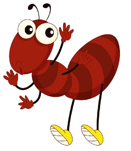 hormiga