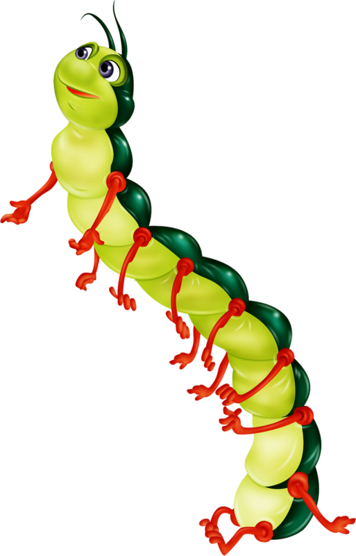 gusano
