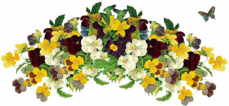 Flores de Primavera
