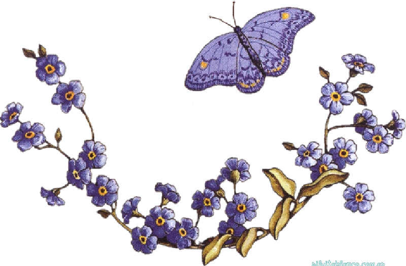 Flores de Primavera