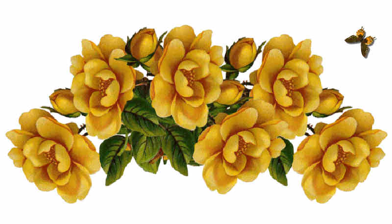 Flores de Primavera