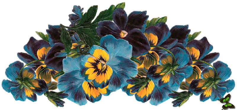 Flores de Primavera