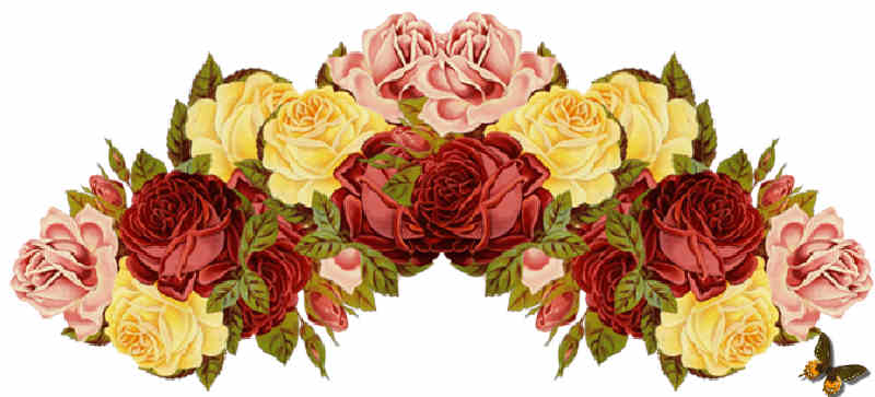 Flores de Primavera