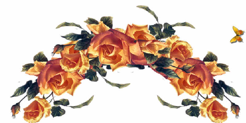 Flores de Primavera
