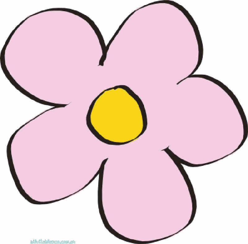 Flores de Primavera