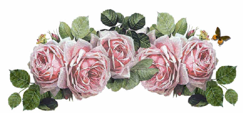 Flores de Primavera