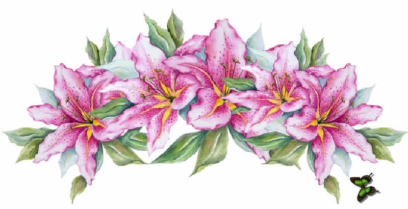 Flores de Primavera