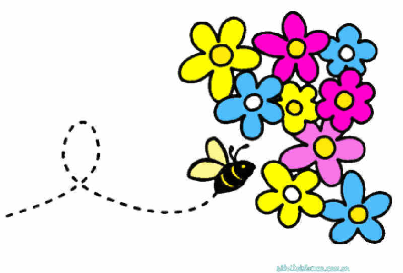 Flores de Primavera