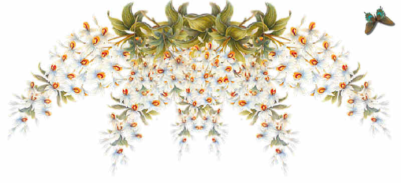 Flores de Primavera
