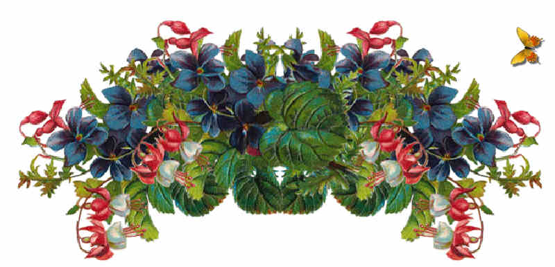 Flores de Primavera