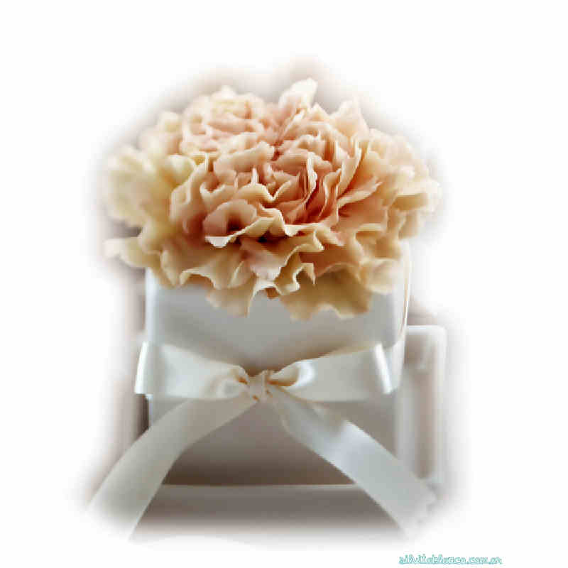 Flores de Primavera