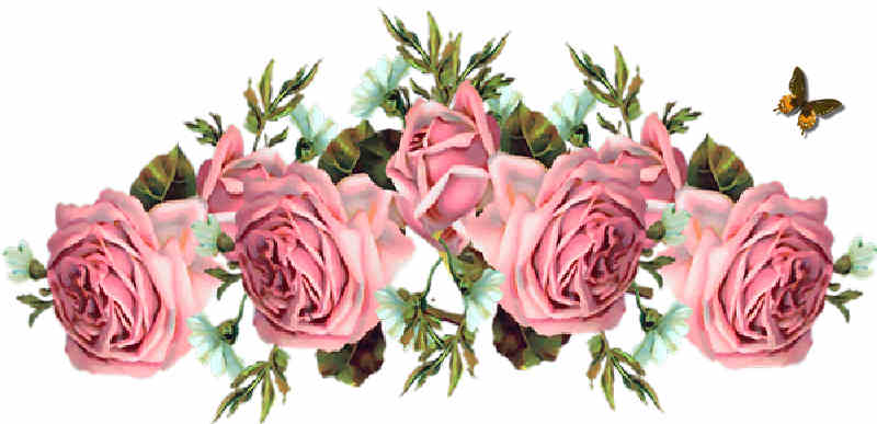 Flores de Primavera