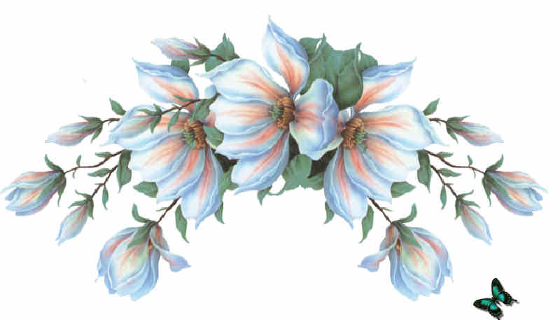Flores de Primavera