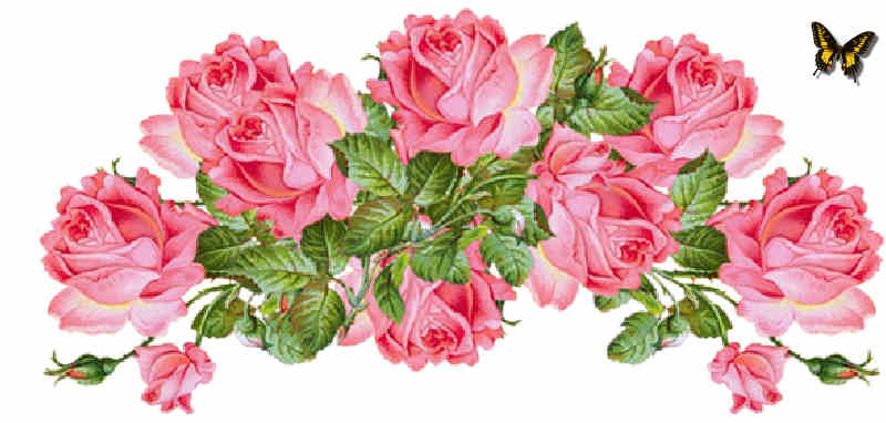 Flores de Primavera