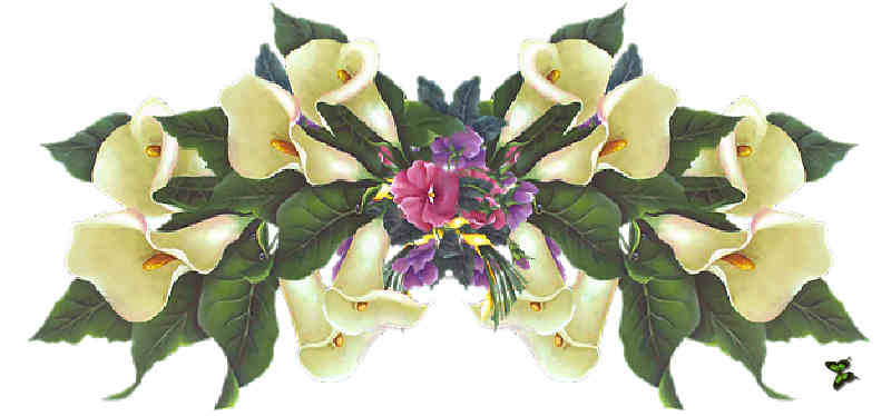 Flores de Primavera
