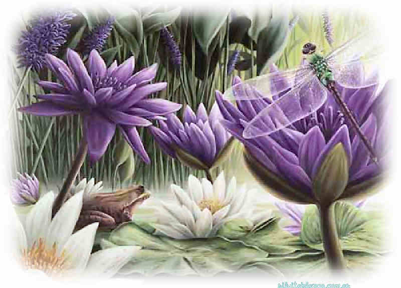 Flores de Primavera
