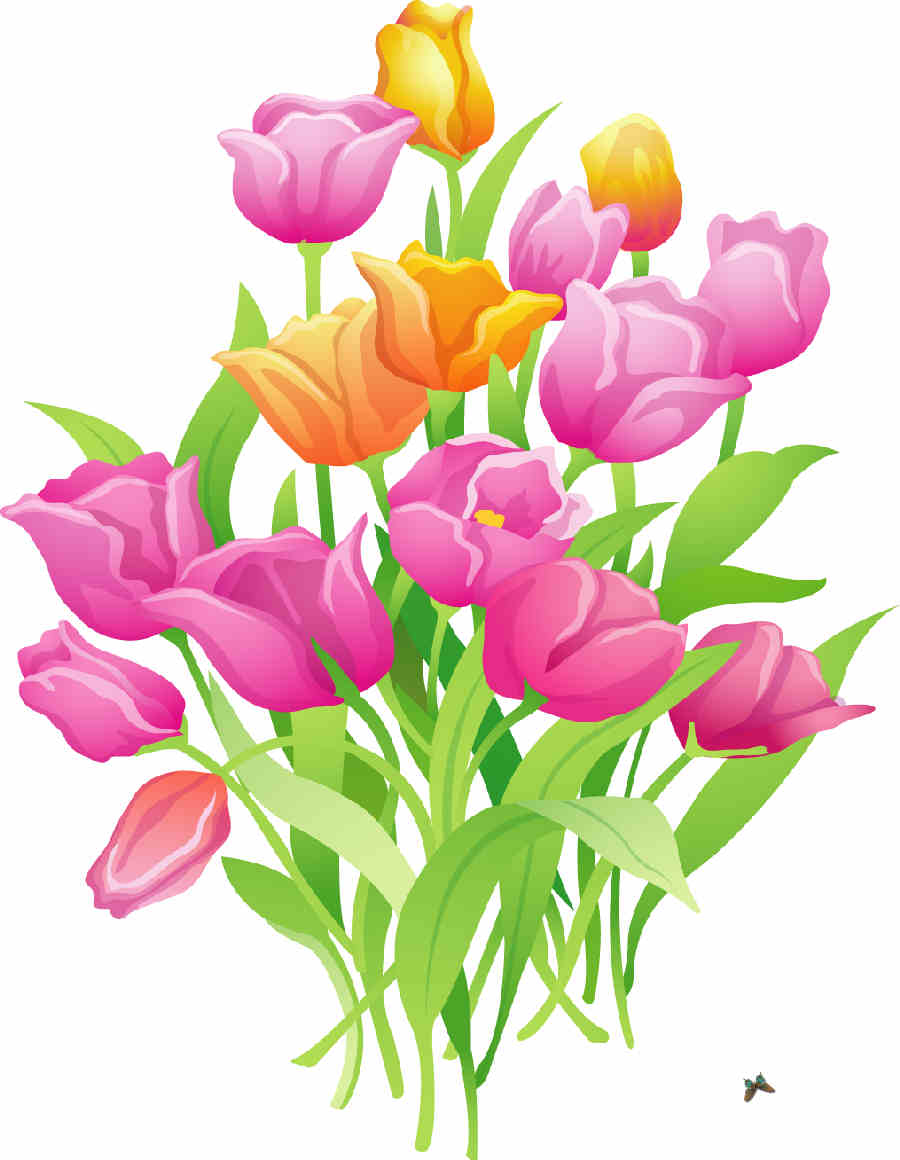 Flores de Primavera