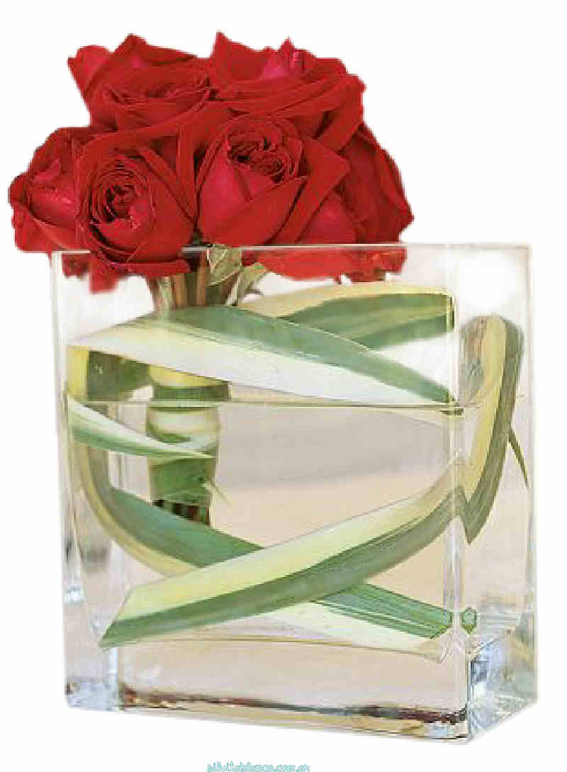 Flores de Primavera