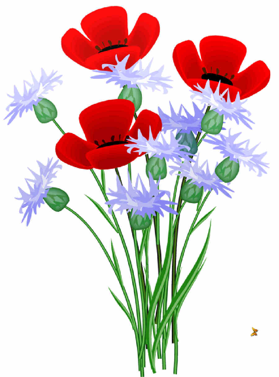 Flores de Primavera