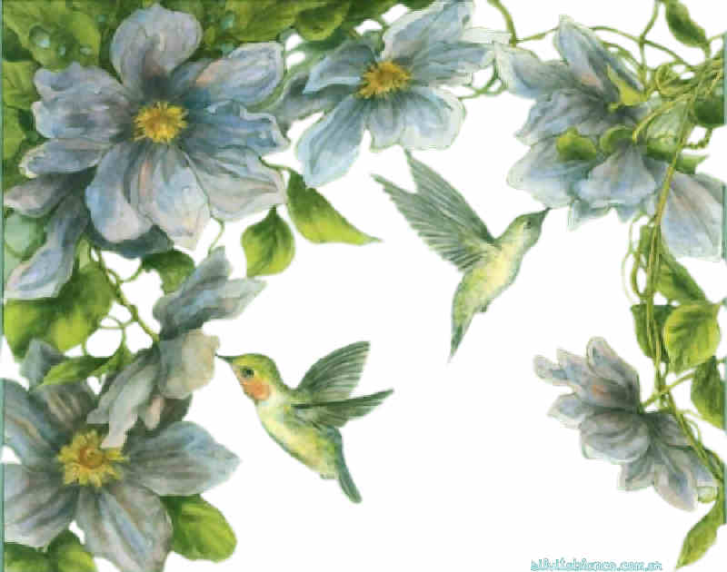 Flores de Primavera