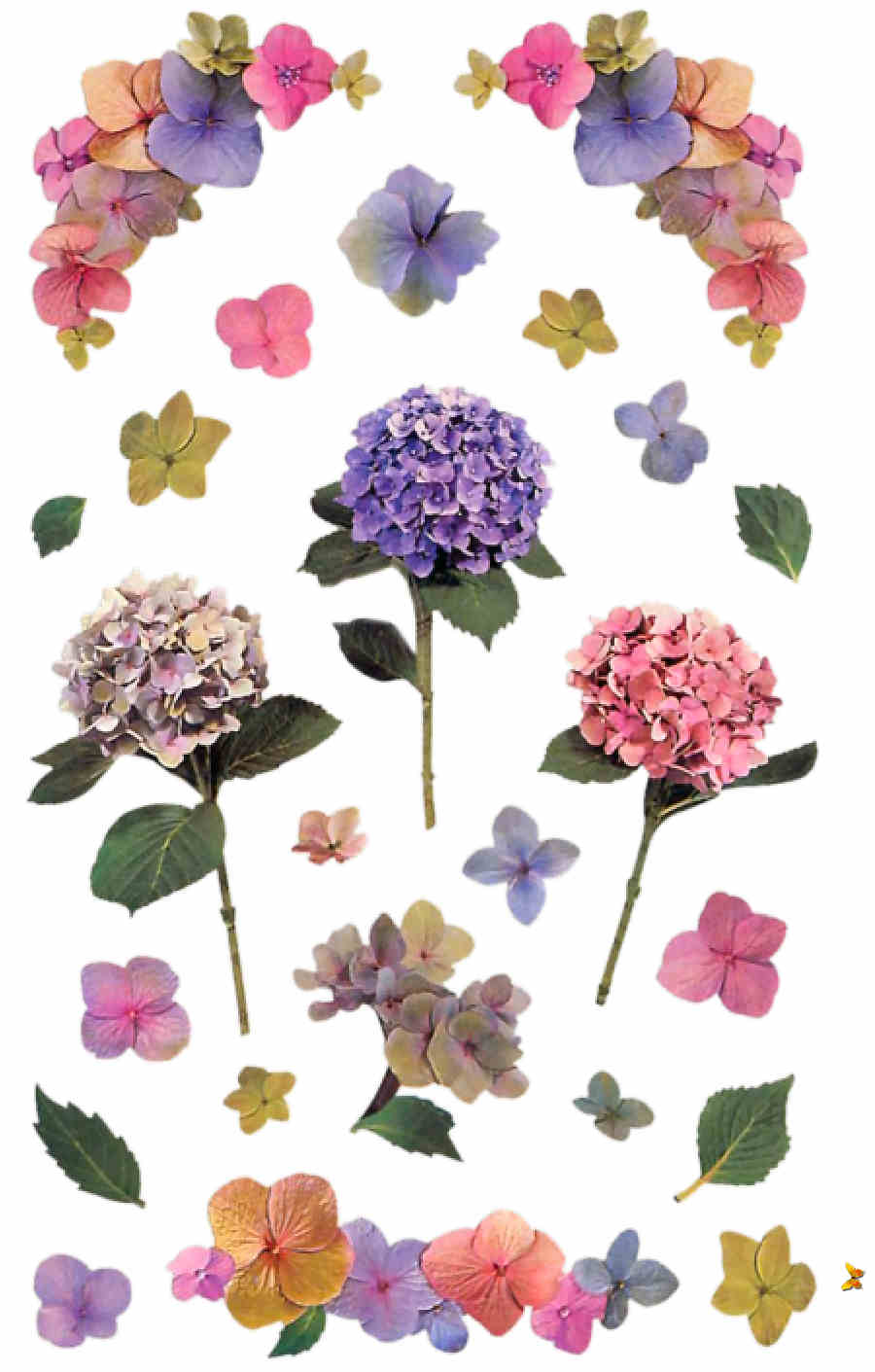 Flores de Primavera