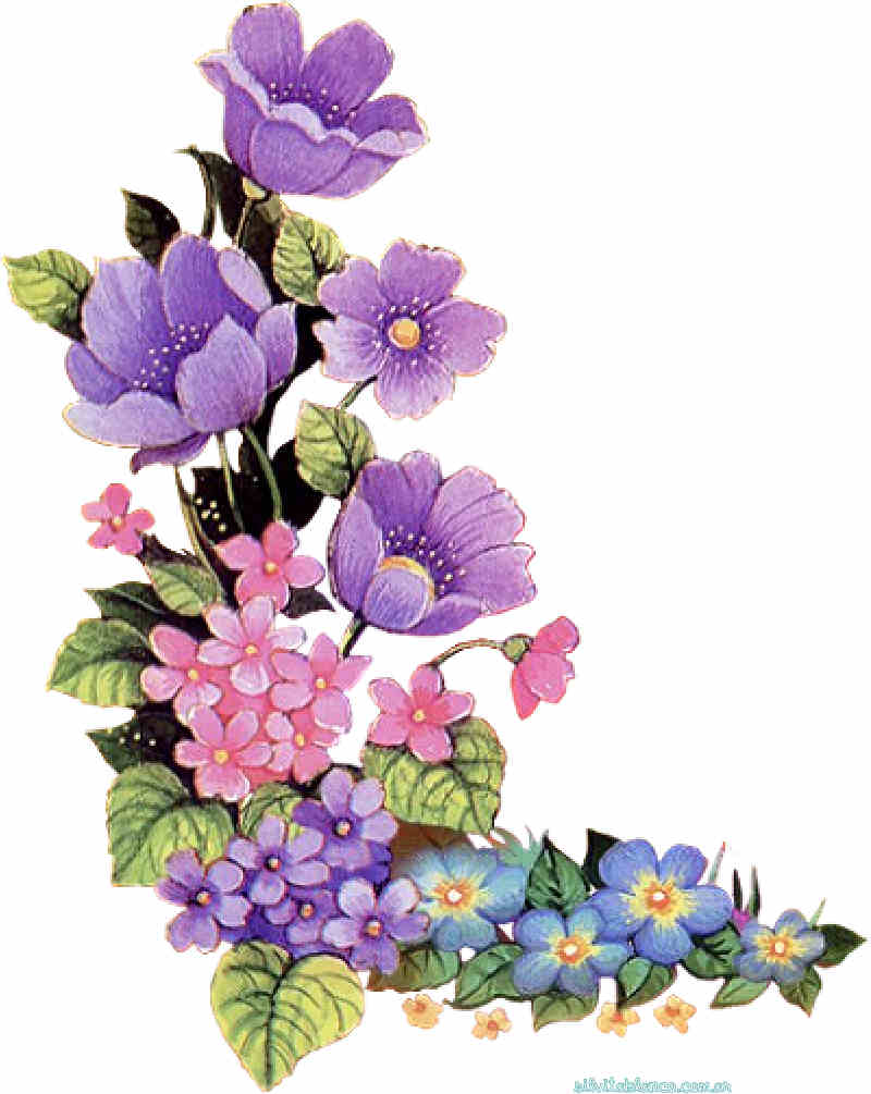 Flores de Primavera