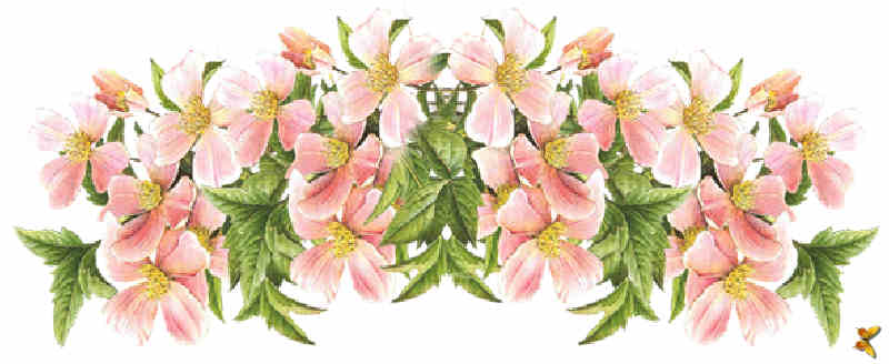 Flores de Primavera