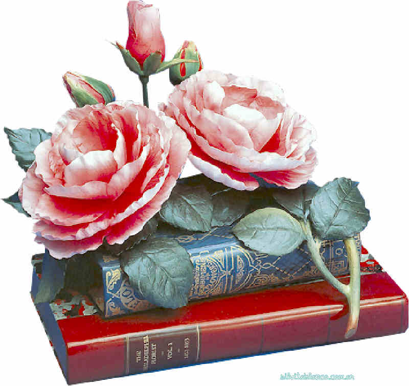 Flores de Primavera