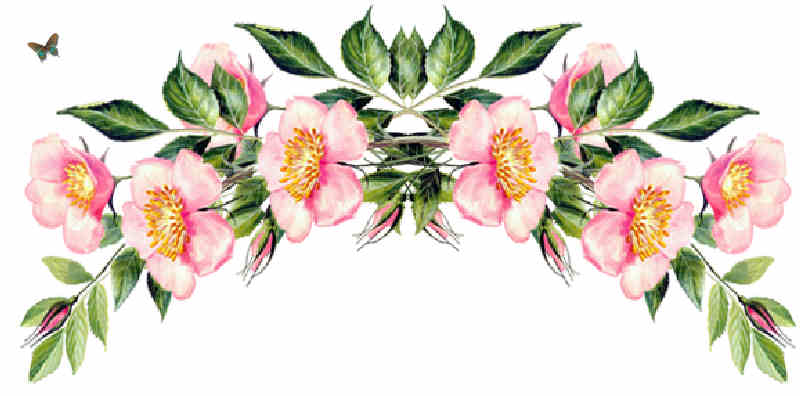 Flores de Primavera