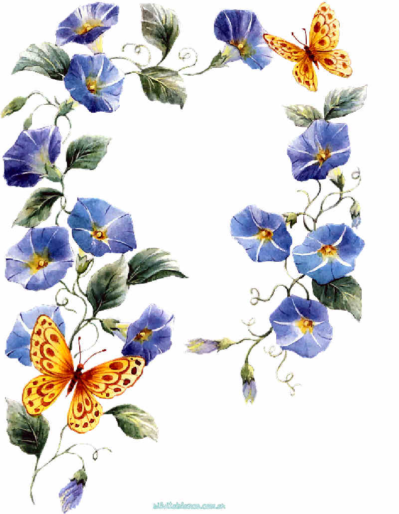 Flores de Primavera