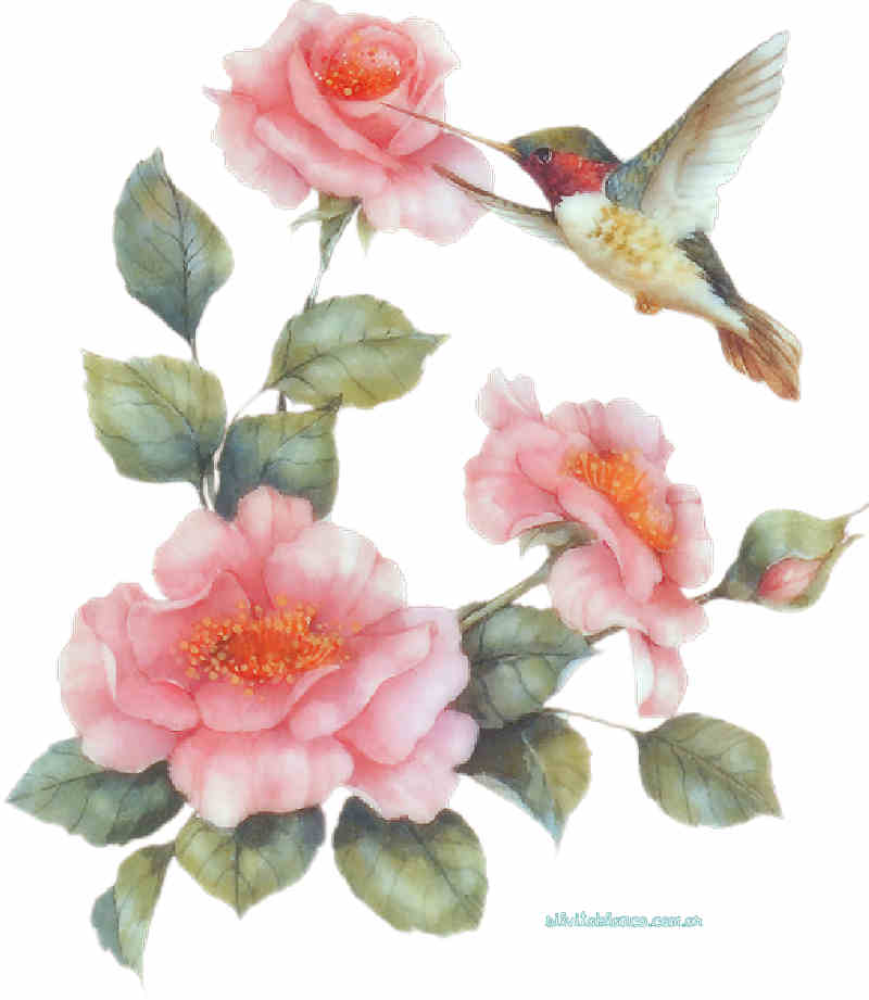 Flores de Primavera