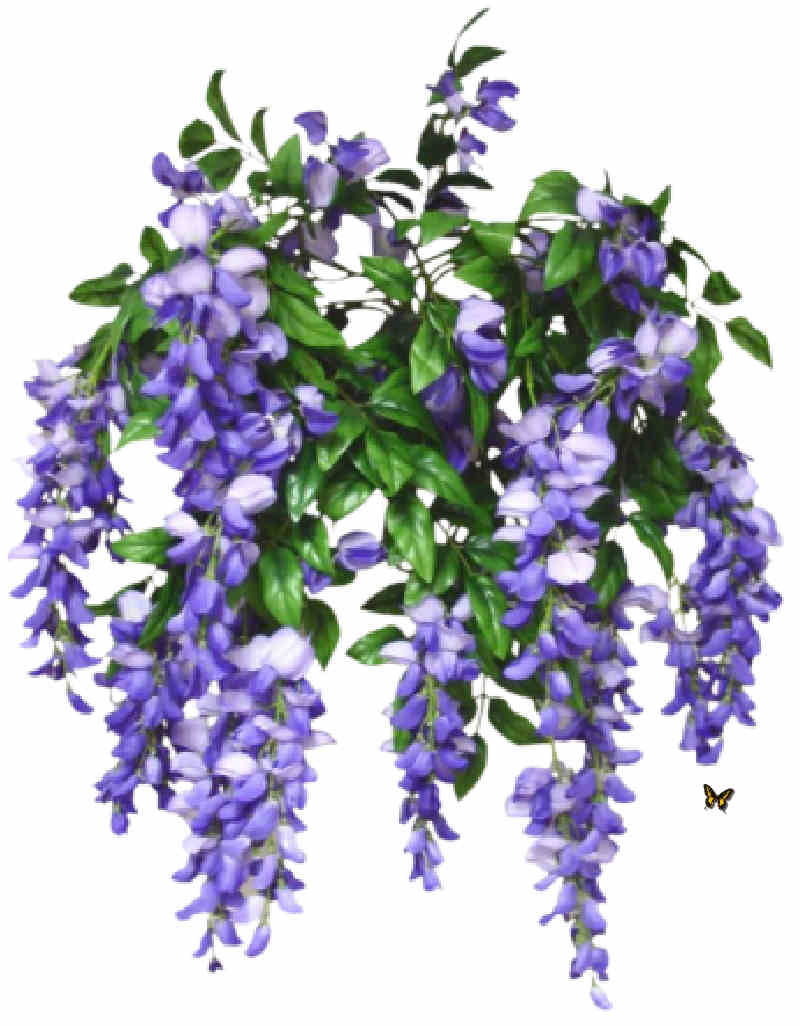 Flores de Primavera