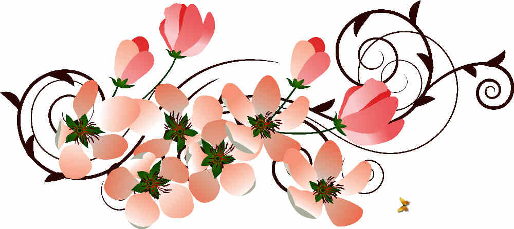 Flores de Primavera