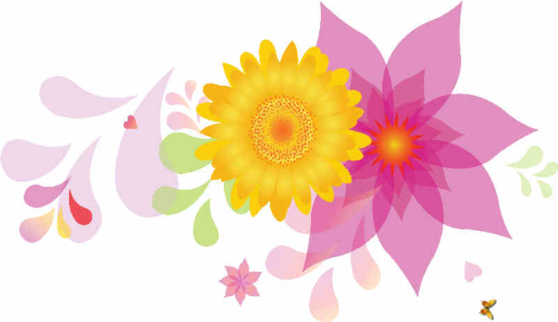 Flores de Primavera
