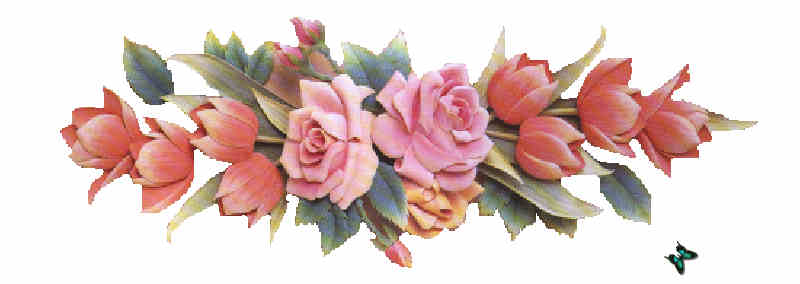 Flores de Primavera