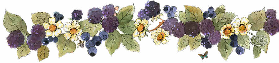 Flores de Primavera