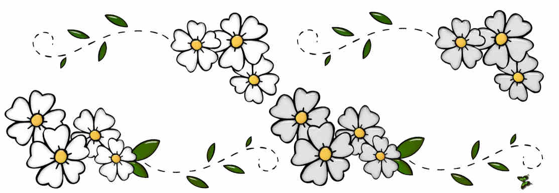 Flores de Primavera