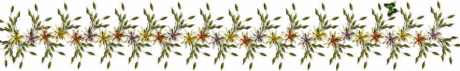 Flores de Primavera