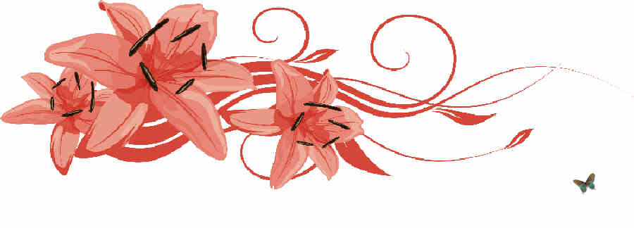Flores de Primavera