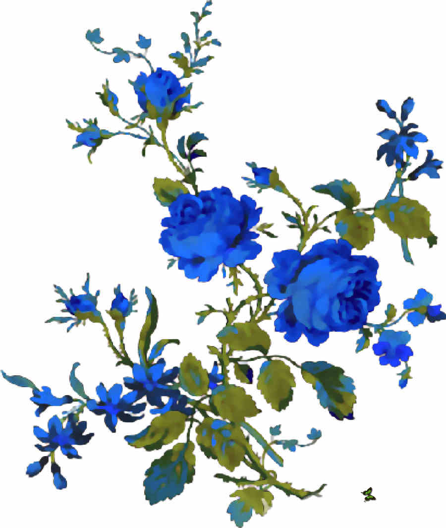 Flores de Primavera
