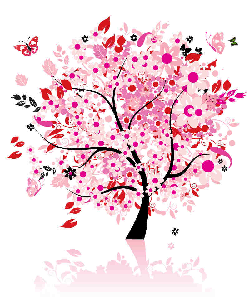 Flores y Plantas