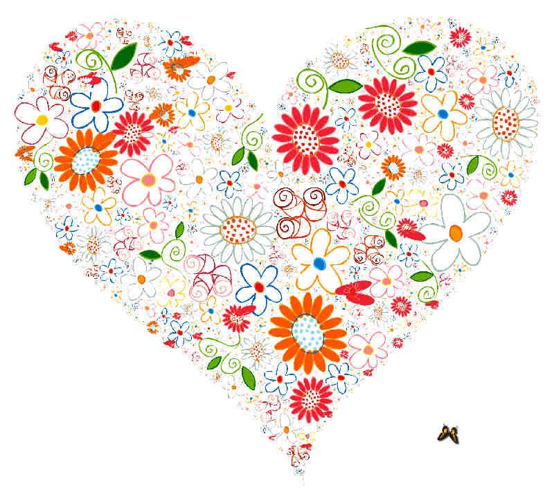 Flores y Plantas