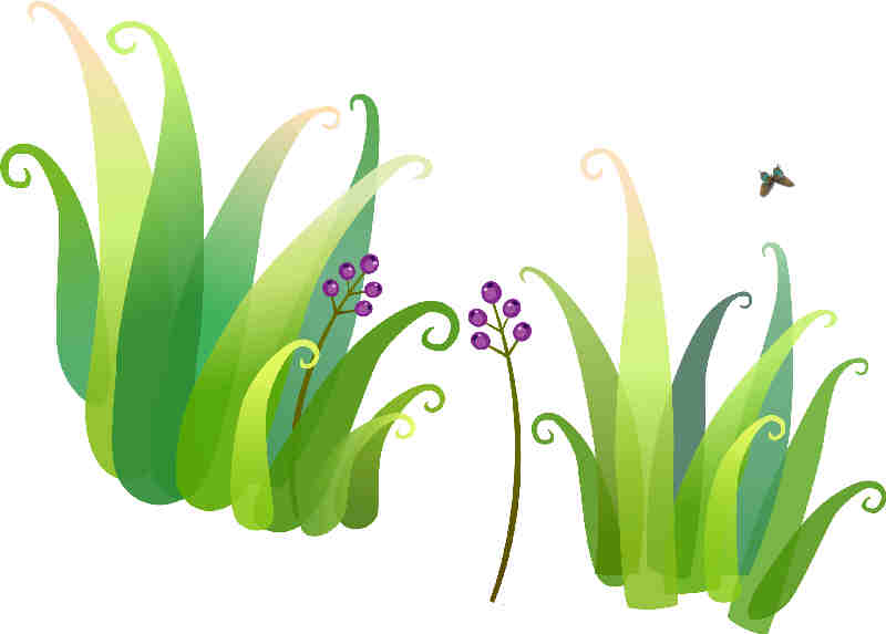 Flores y Plantas