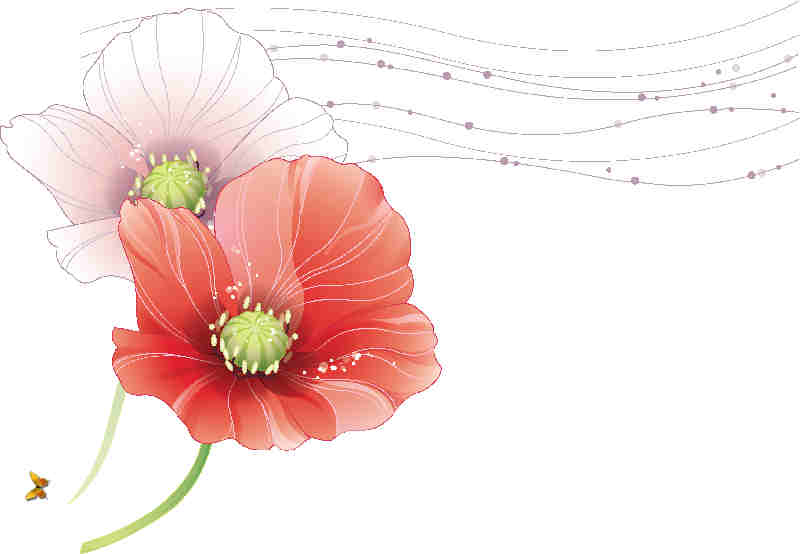 Flores y Plantas