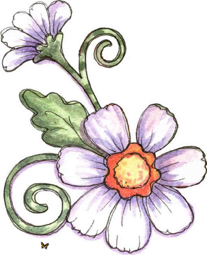 Flores y Plantas