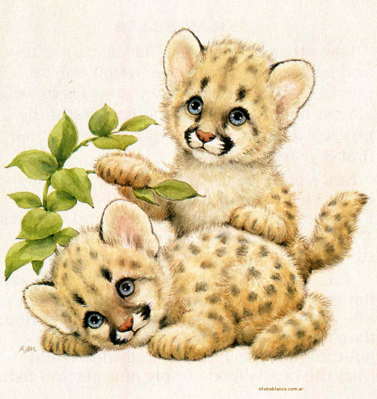 Puma especie en extinción