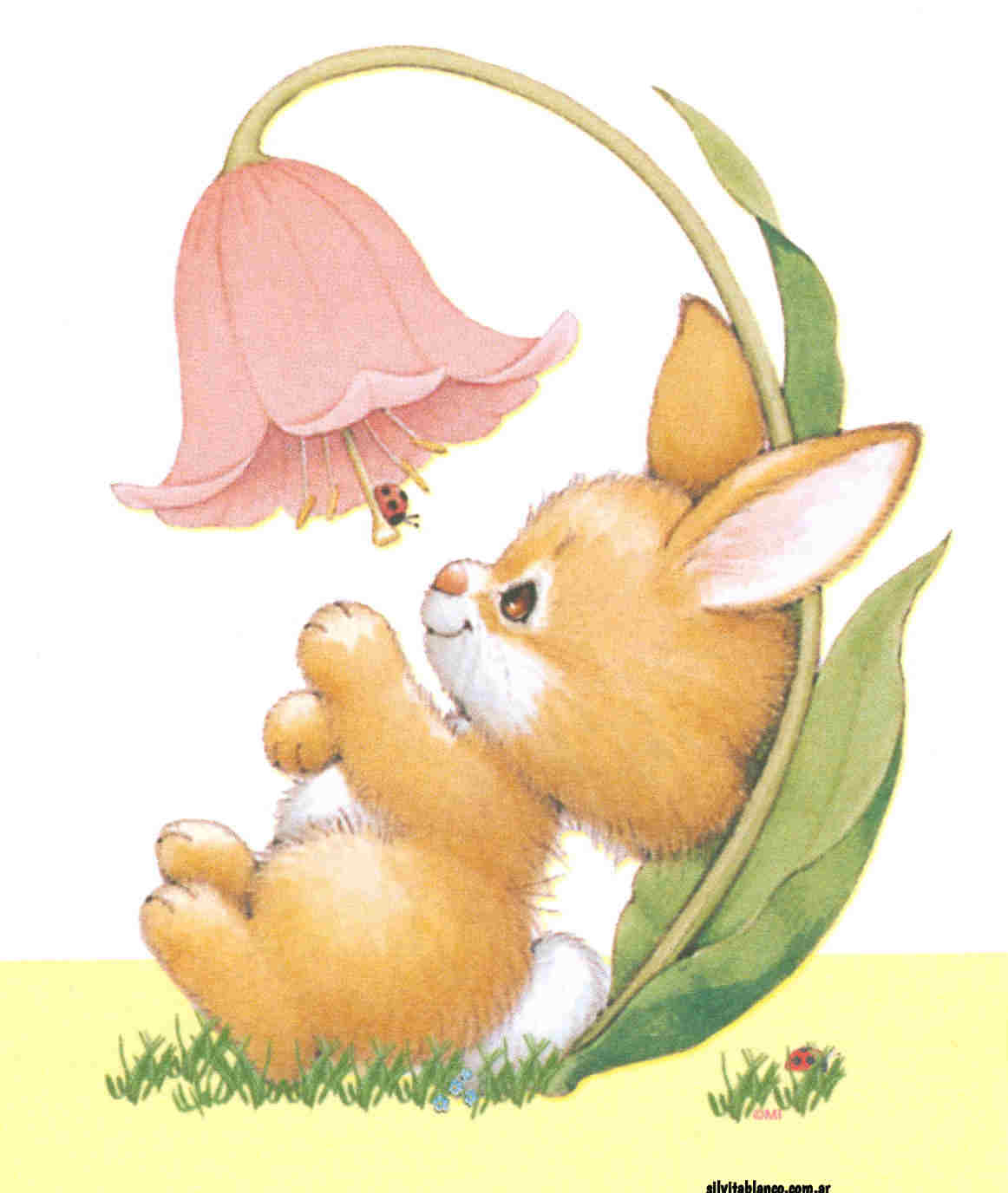 Pascua Ilustraciones