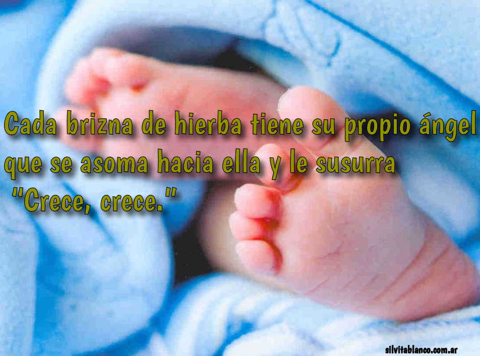 Las Mejores Frases