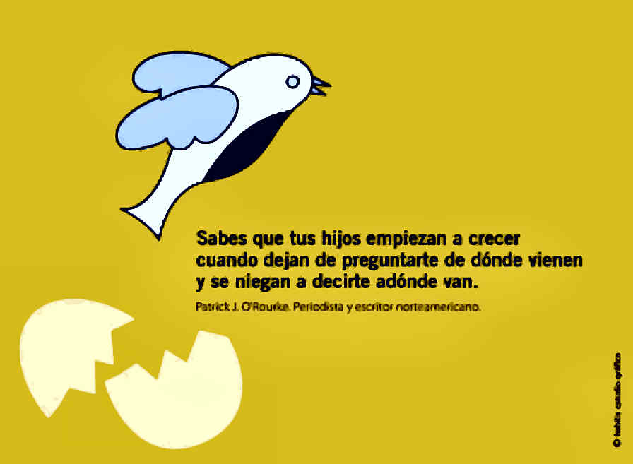 Frases del día